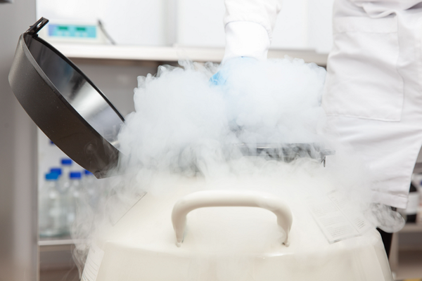 Cold Chain Logistics